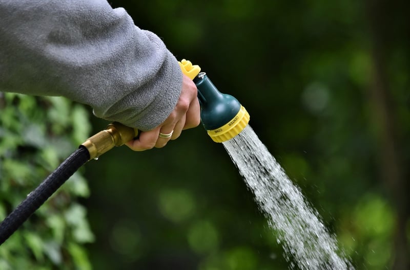 Gardening Tools Reviews