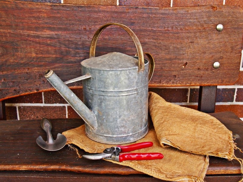 Garden Trowel