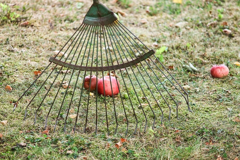 Rake